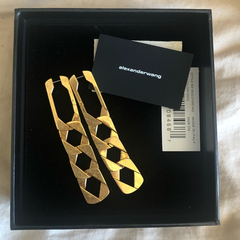 Alexander Wang Chain drop earrings